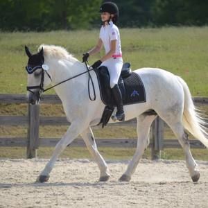 Meet your Posher, Emilia